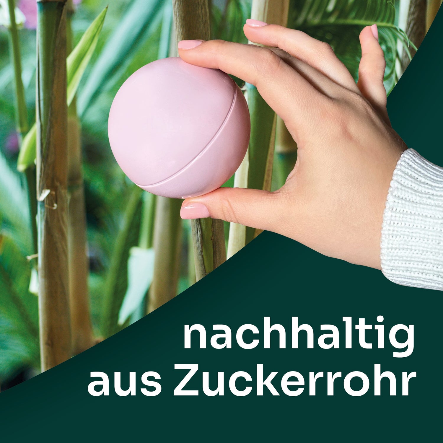 nachhaltige Bio-Bälle aus Zuckerrohr